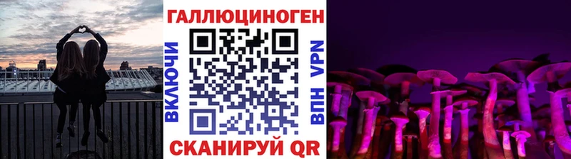 Галлюциногенные грибы MAGIC MUSHROOMS Шилка
